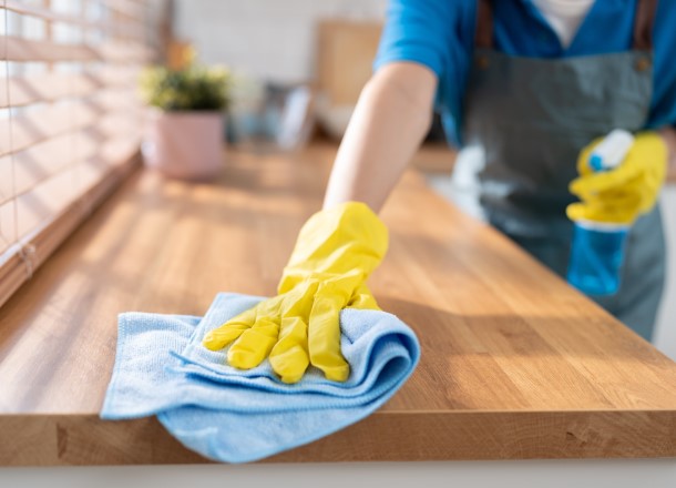 Professional Cleaning Services